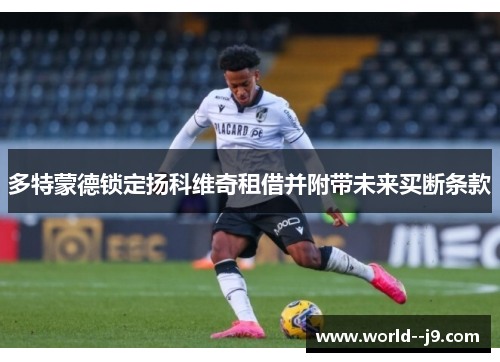 多特蒙德锁定扬科维奇租借并附带未来买断条款 多特蒙德锁定扬科维奇租借并附带未来买断条款